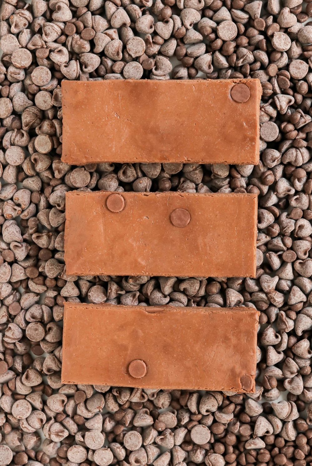 Healthy Chocolate Fudge DIY Protein Bars Recipe from the DIY Protein Bars Cookbook!