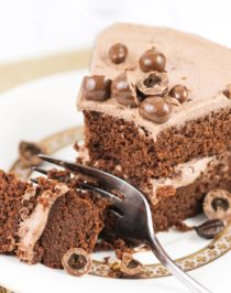 This Mocha Cake with Mocha Frosting is infused with enough coffee and chocolate flavor to make your taste buds fall in love. You get TWICE the coffee flavor in this double whammy mocha dessert. This cake is super fluffy and moist and the frosting is perfectly chocolatey and sweet, you'd never know it's all sugar free, low carb, high protein, and gluten free too!